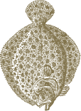 Monovarietais
