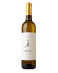 Selection Branco