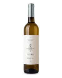 Semillón